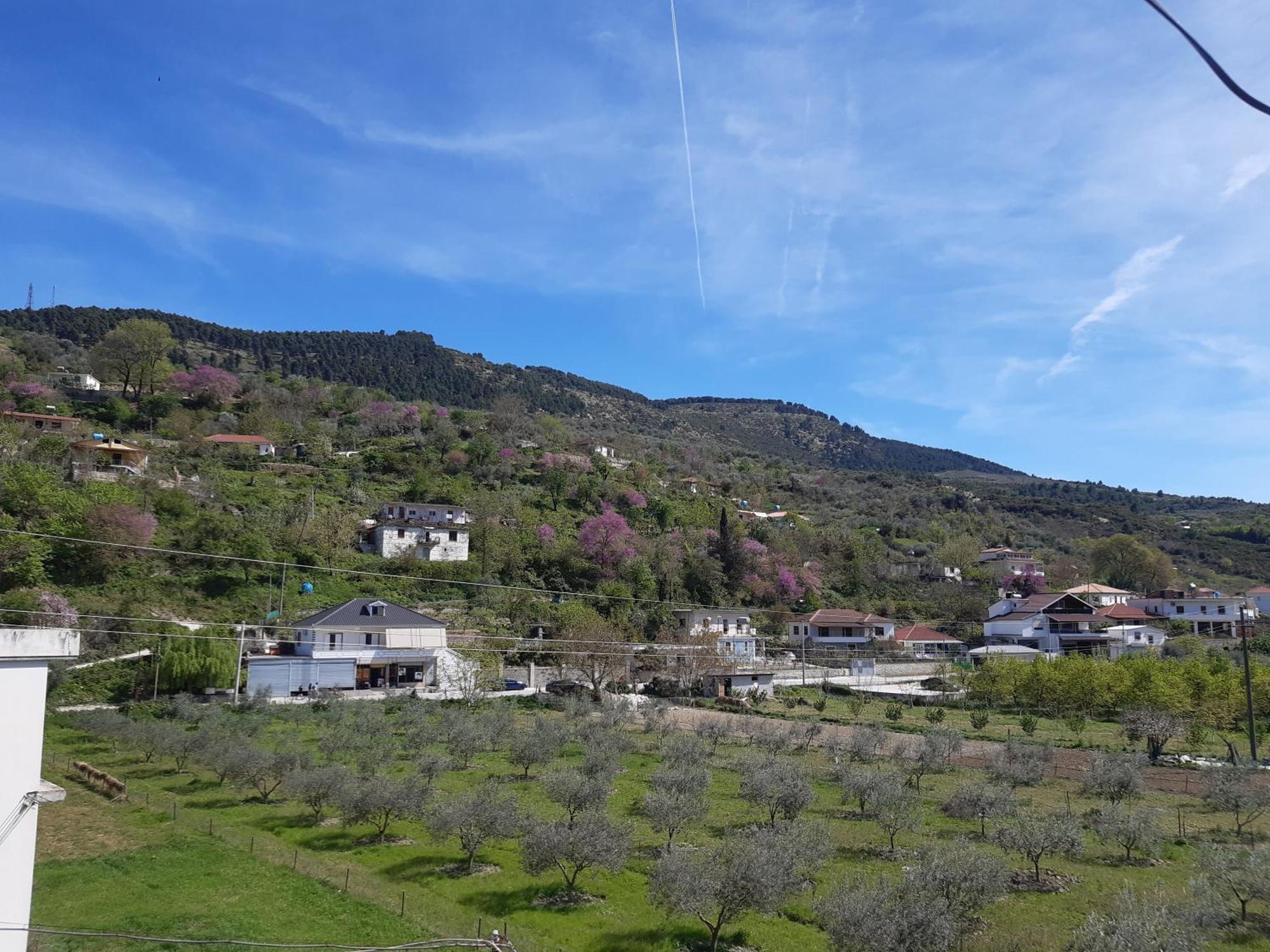 Villa Ari Berat Zewnętrze zdjęcie