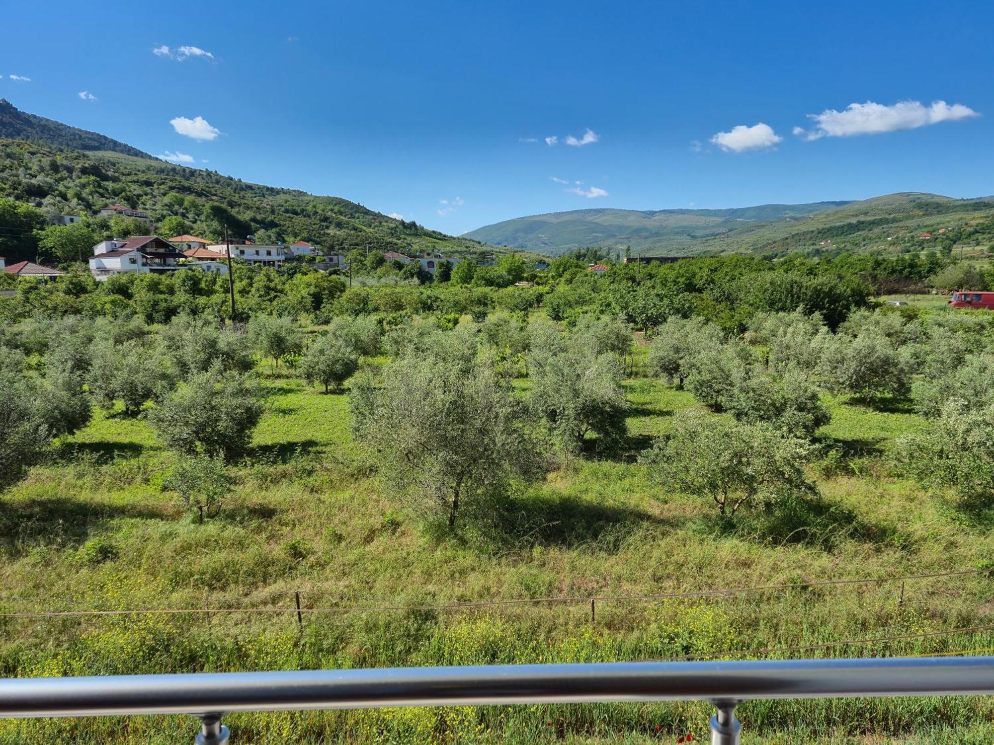 Villa Ari Berat Zewnętrze zdjęcie